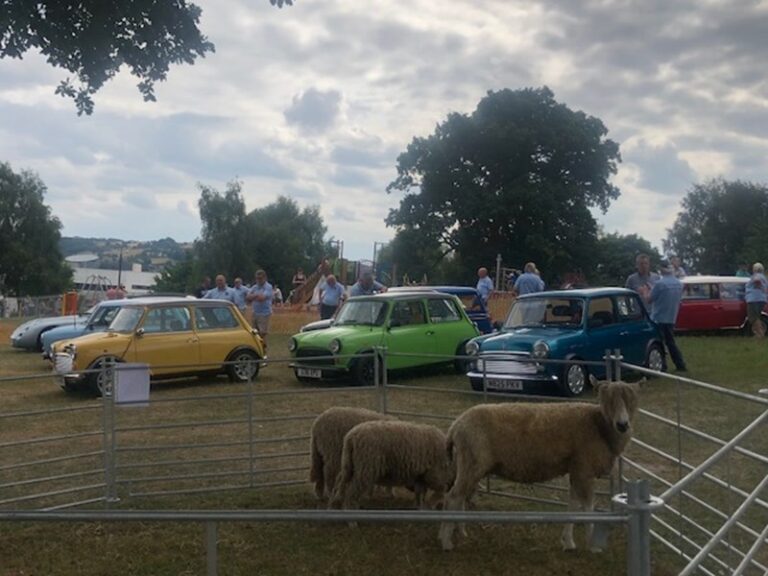 Mini Club