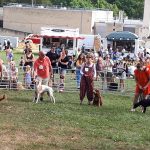 dog-show-class